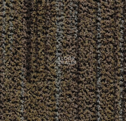 Грязезащитные покрытия Forbo Coral Brush 5764 petrified grey фото 1 | FLOORDEALER